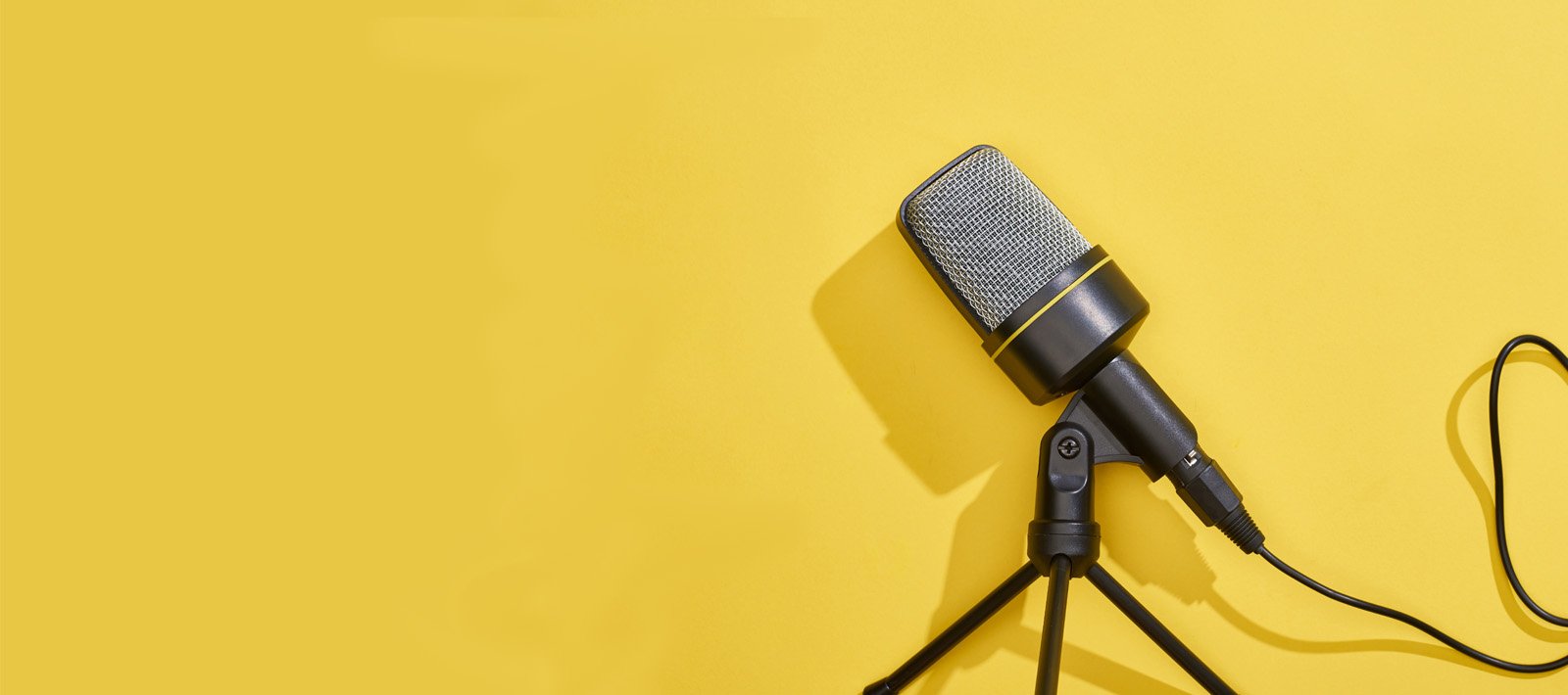 Informitive provide graphics design, website design, social media marketing, flyer, business card, logo design, total branding, Business IT